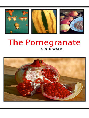 cover image of The Pomegranate